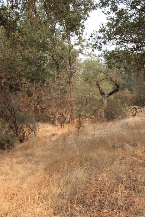 3711 Johnson Ave, Clearlake, CA 95422 photo 4