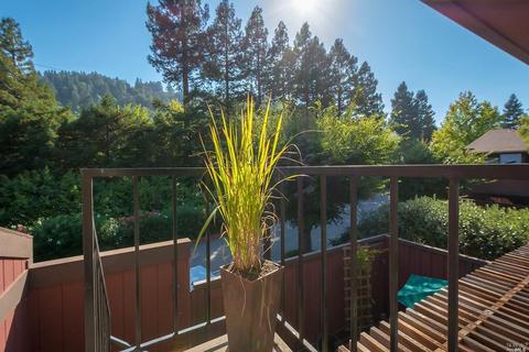 12 Deuce Ct, Fairfax, CA 94930 photo 19