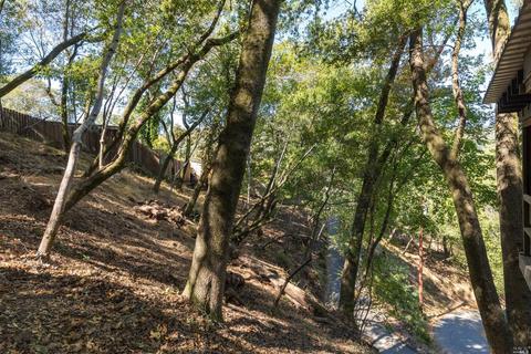 263 Forrest Ave, Fairfax, CA 94930 photo 9