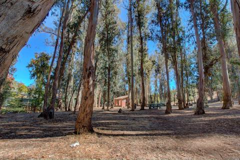 136 Kathy Ellen Ct, Vallejo, CA 94591 photo 39