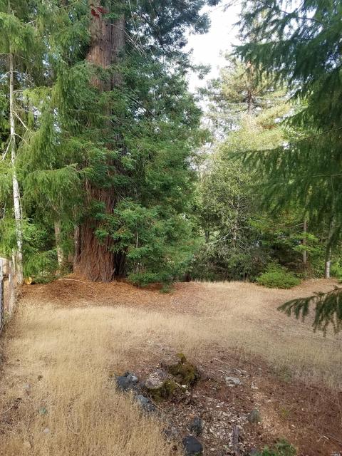 2037 Primrose Dr, Willits, CA 95490 photo 10