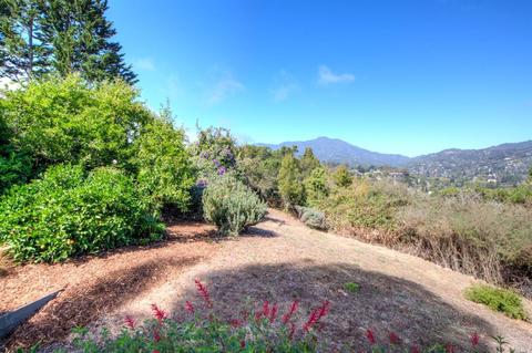 16 Loring Ave, Mill Valley, CA 94941 photo 29