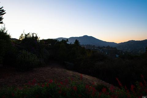 16 Loring Ave, Mill Valley, CA 94941 photo 46