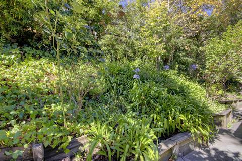 35 Underhill Rd, Mill Valley, CA 94941 photo 43