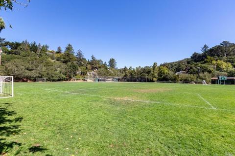71 Thalia St, Mill Valley, CA 94941 photo 34