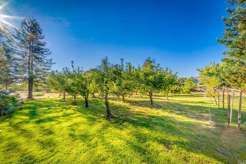 1722 Willowside Rd, Santa Rosa, CA 95401 photo 40