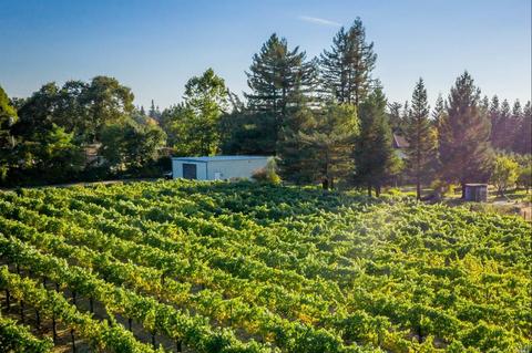 1722 Willowside Rd, Santa Rosa, CA 95401 photo 47