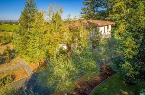 1722 Willowside Rd, Santa Rosa, CA 95401 photo 46