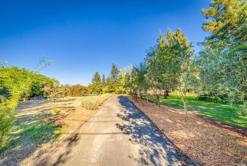 1722 Willowside Rd, Santa Rosa, CA 95401 photo 27