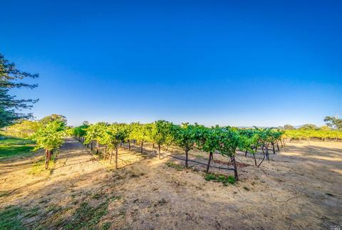 1722 Willowside Rd, Santa Rosa, CA 95401 photo 34