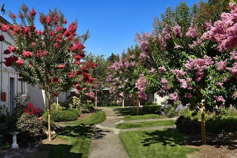25 A Front St, Healdsburg, CA 95448 photo 2