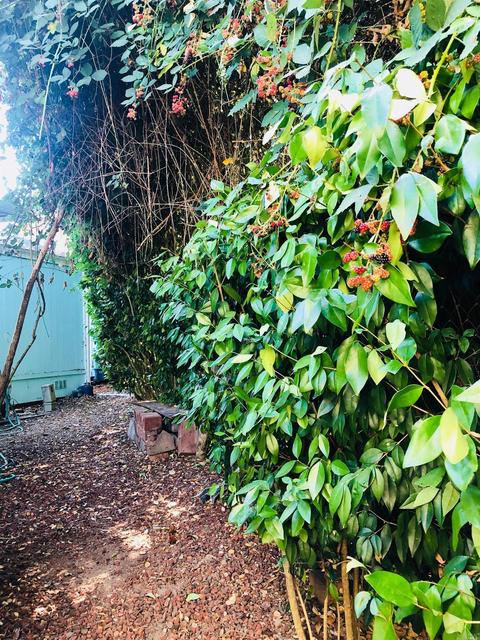 Undisclosed, Cotati, CA 94931 photo 30