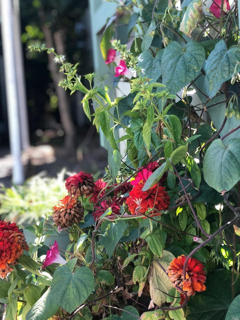 Undisclosed, Cotati, CA 94931 photo 24
