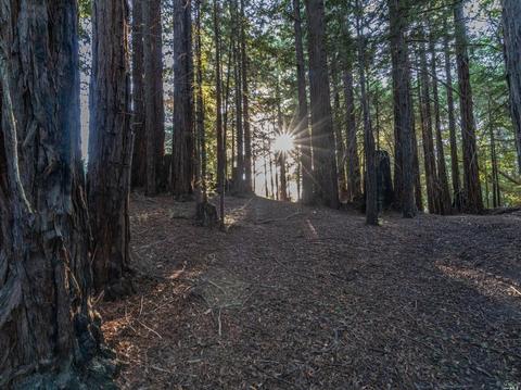 2245 Muniz Ranch Rd, Jenner, CA 95450 photo 37