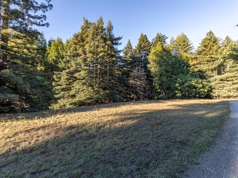 2245 Muniz Ranch Rd, Jenner, CA 95450 photo 26