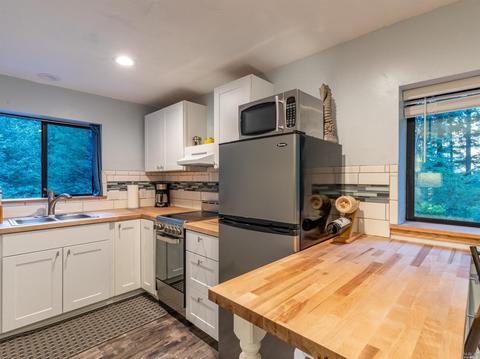 2245 Muniz Ranch Rd, Jenner, CA 95450 photo 29
