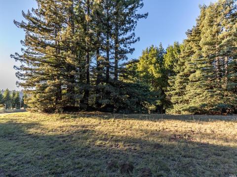 2245 Muniz Ranch Rd, Jenner, CA 95450 photo 25