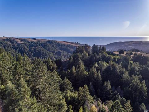 2245 Muniz Ranch Rd, Jenner, CA 95450 photo 2