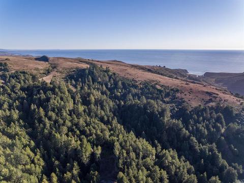 2245 Muniz Ranch Rd, Jenner, CA 95450 photo 18