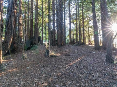 2245 Muniz Ranch Rd, Jenner, CA 95450 photo 31