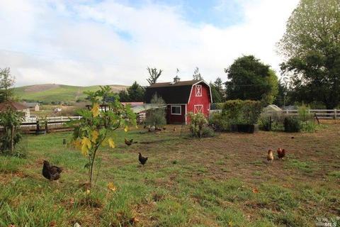 74 Everett Rd, Petaluma, CA 94952 photo 17