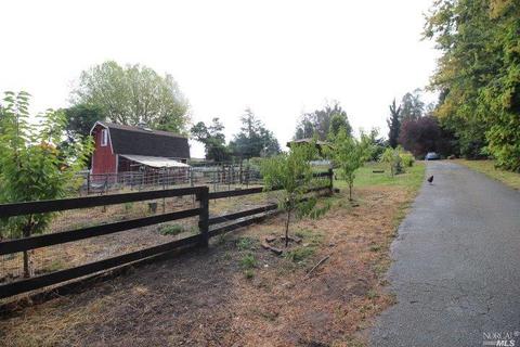 74 Everett Rd, Petaluma, CA 94952 photo 22