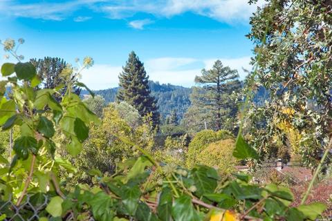 301 A Powell Ave, Healdsburg, CA 95448 photo 10