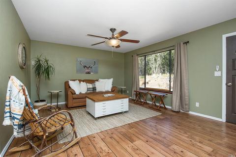 9021 Bleuss Ct, Cobb, CA 95426 photo 5