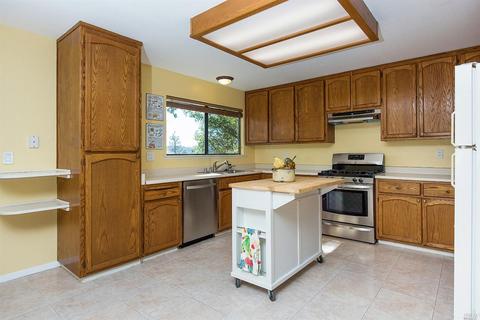 9021 Bleuss Ct, Cobb, CA 95426 photo 8