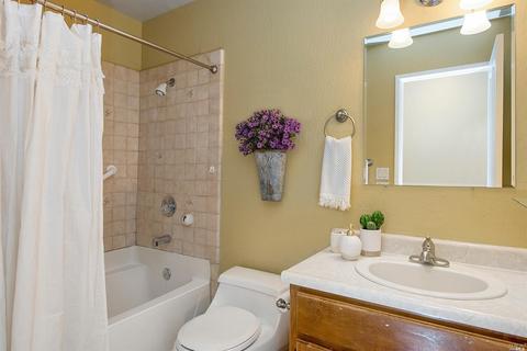 9021 Bleuss Ct, Cobb, CA 95426 photo 18