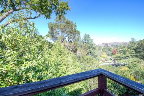 25 Shelley Dr, Mill Valley, CA 94941 photo 18