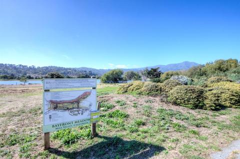 25 Shelley Dr, Mill Valley, CA 94941 photo 30