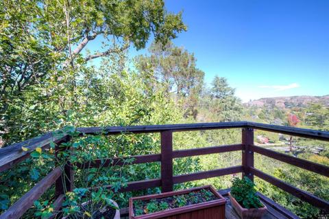 25 Shelley Dr, Mill Valley, CA 94941 photo 19