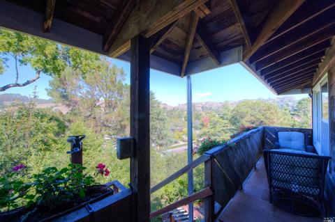 25 Shelley Dr, Mill Valley, CA 94941 photo 20
