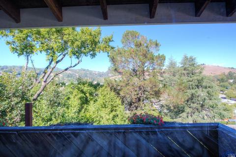 25 Shelley Dr, Mill Valley, CA 94941 photo 16