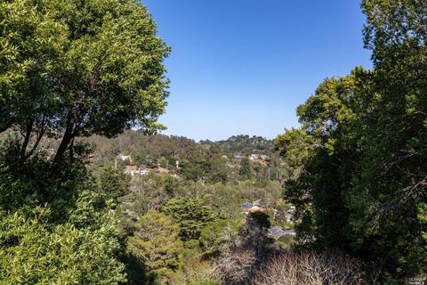 699 Forest Way, Mill Valley, CA 94941 photo 27