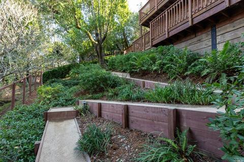 699 Forest Way, Mill Valley, CA 94941 photo 29