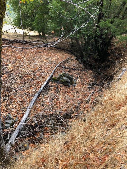 Undisclosed, Healdsburg, CA 95448 photo 31
