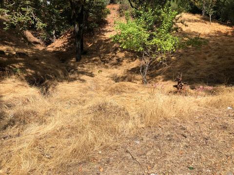 Undisclosed, Healdsburg, CA 95448 photo 8