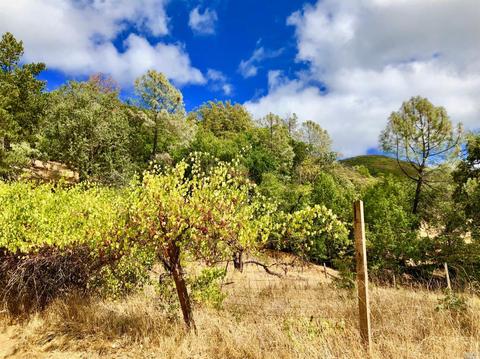 Undisclosed, Healdsburg, CA 95448 photo 36