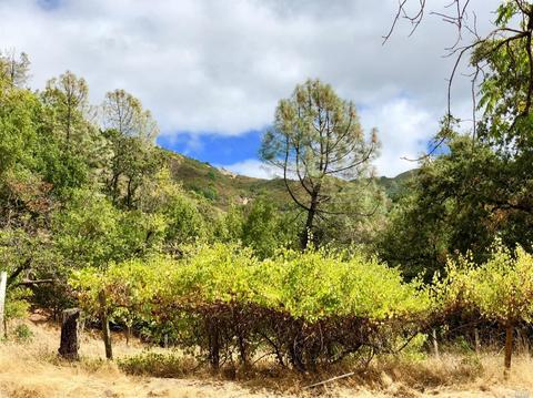 Undisclosed, Healdsburg, CA 95448 photo 35