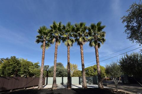 18360 Arnold Dr, Sonoma, CA 95476 photo 13