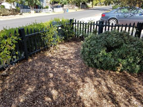 1019 Clark St, Napa, CA 94559 photo 12