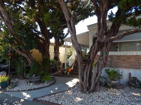 460 E Gobbi St #19, Ukiah, CA 95482 photo 1