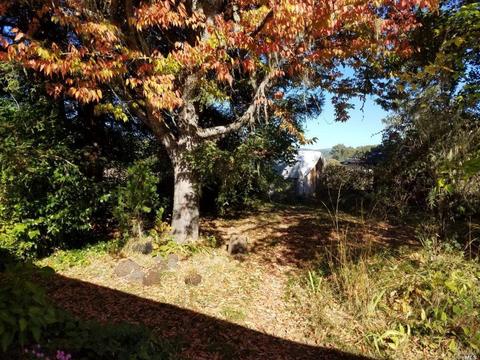 1875 Hearst Willits Rd, Willits, CA 95490 photo 22