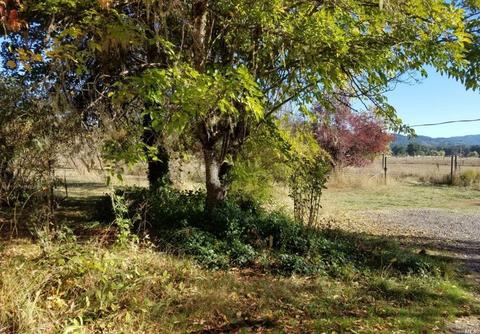 1875 Hearst Willits Rd, Willits, CA 95490 photo 23