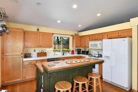 1028 Ginkgo Pl, Windsor, CA 95492 photo 9