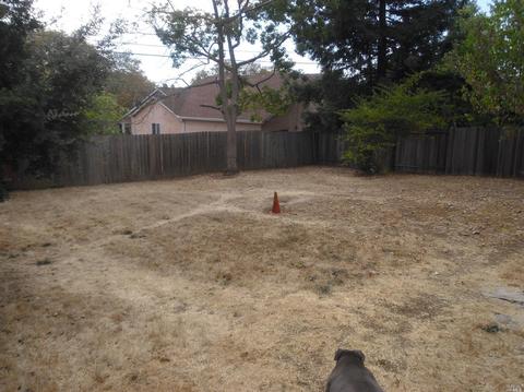721 Jennings Ave, Vallejo, CA 94591 photo 6