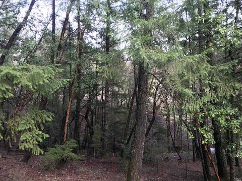 26861 Hawk Rd, Willits, CA 95490 photo 4