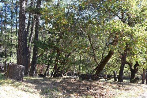 26861 Hawk Rd, Willits, CA 95490 photo 8